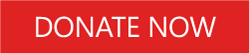 donate now2